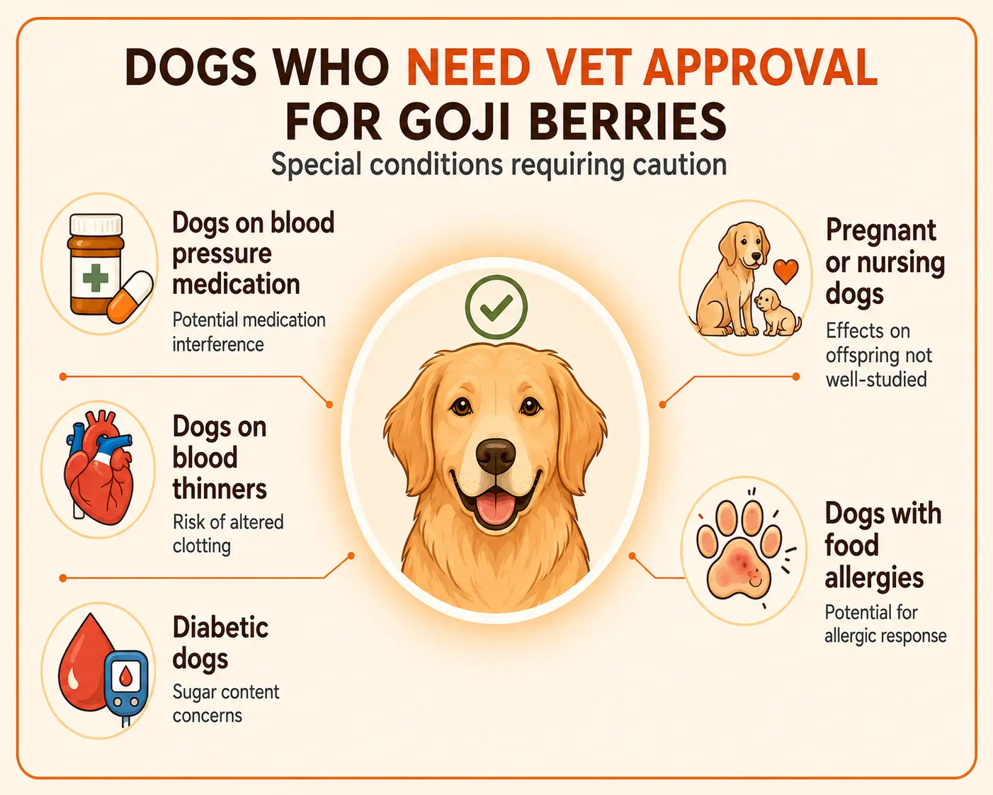 Infographic showing dogs who need vet approval before eating goji berries, including those on blood pressure medication, blood thinners, or with diabetes, allergies, or pregnancy