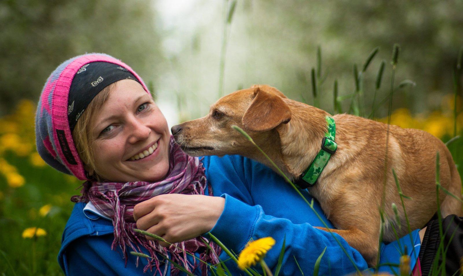 A dog showing affection with her owner