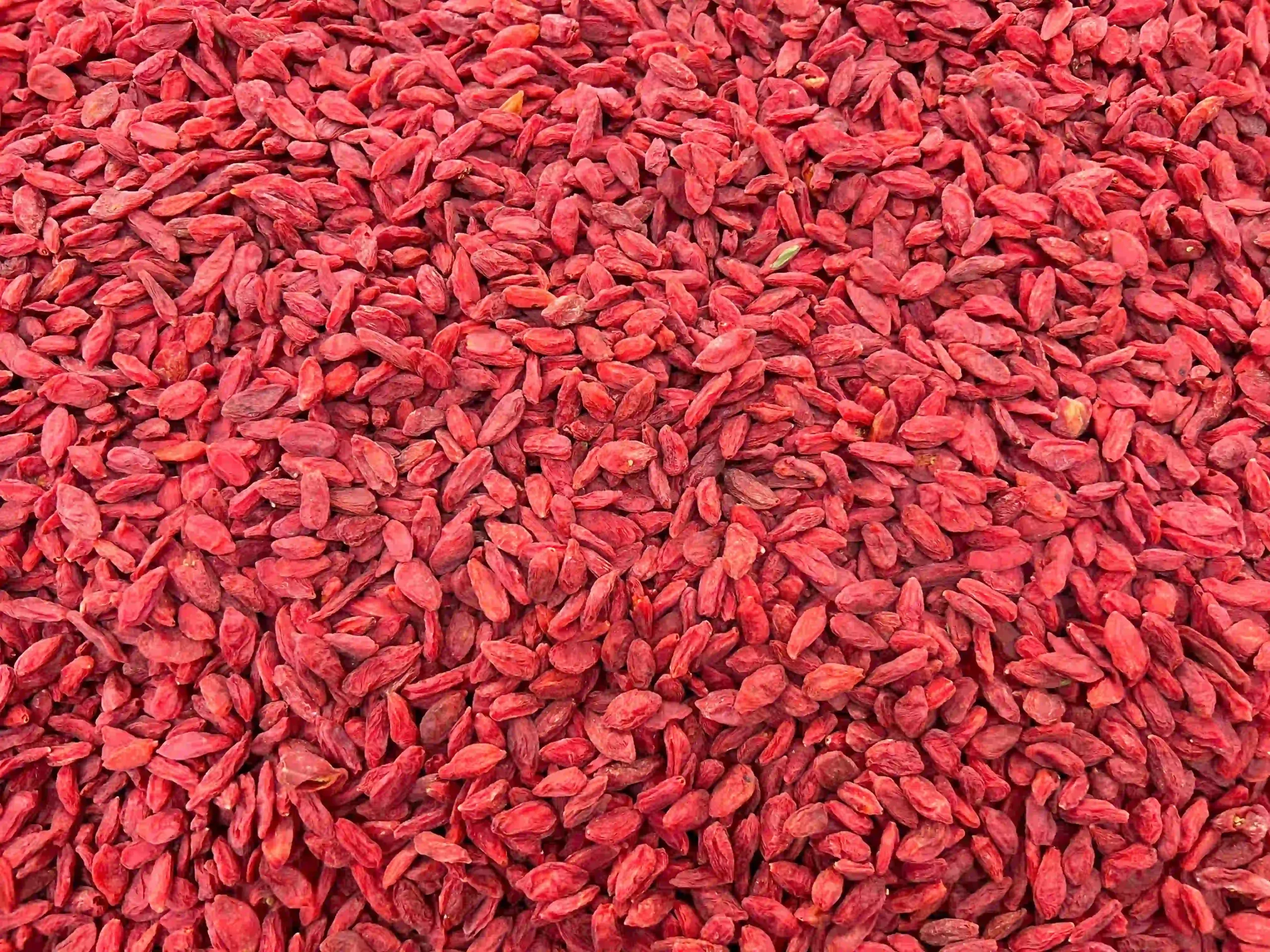 Close-up look of fresh goji berries