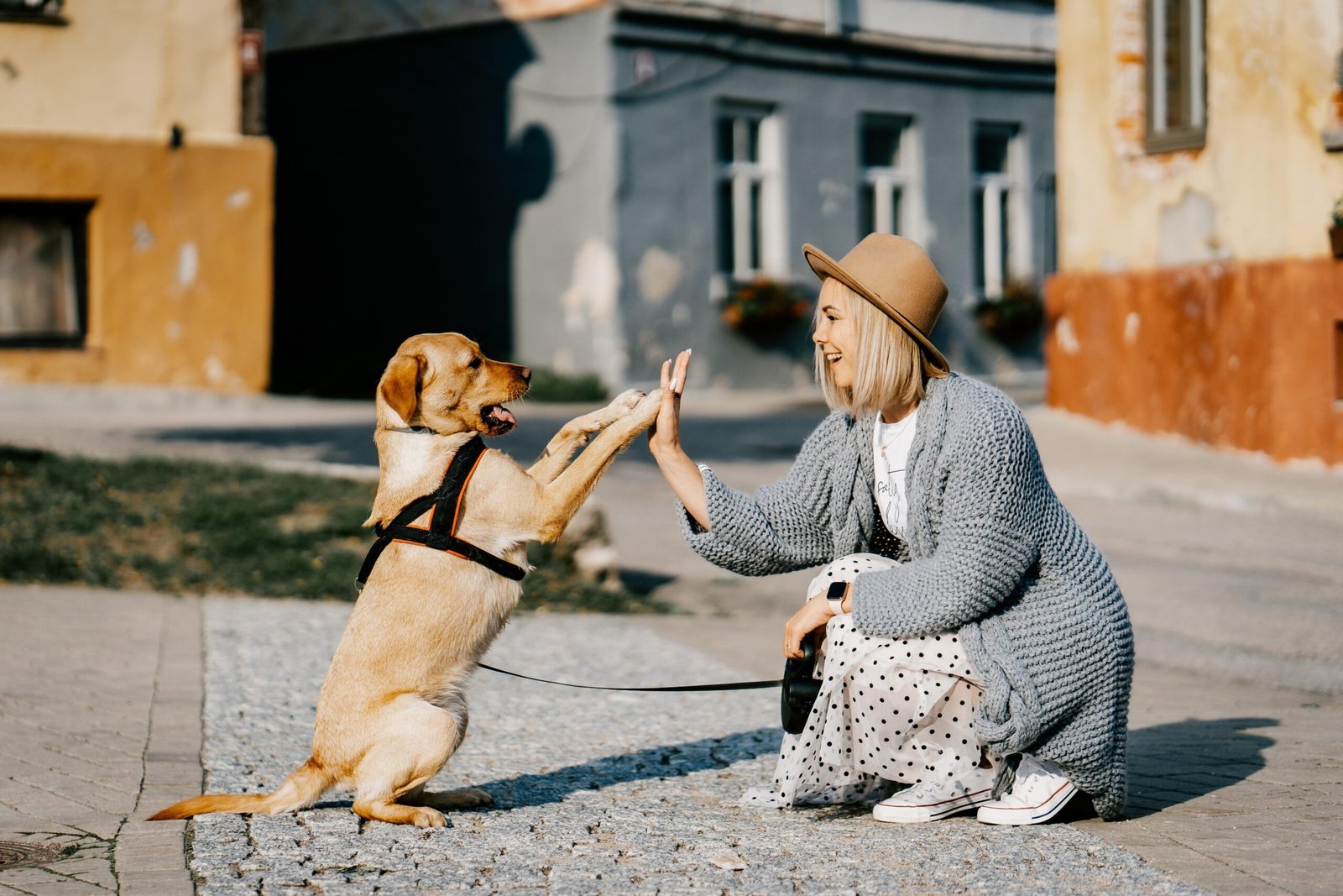 A girl playing with her dog
