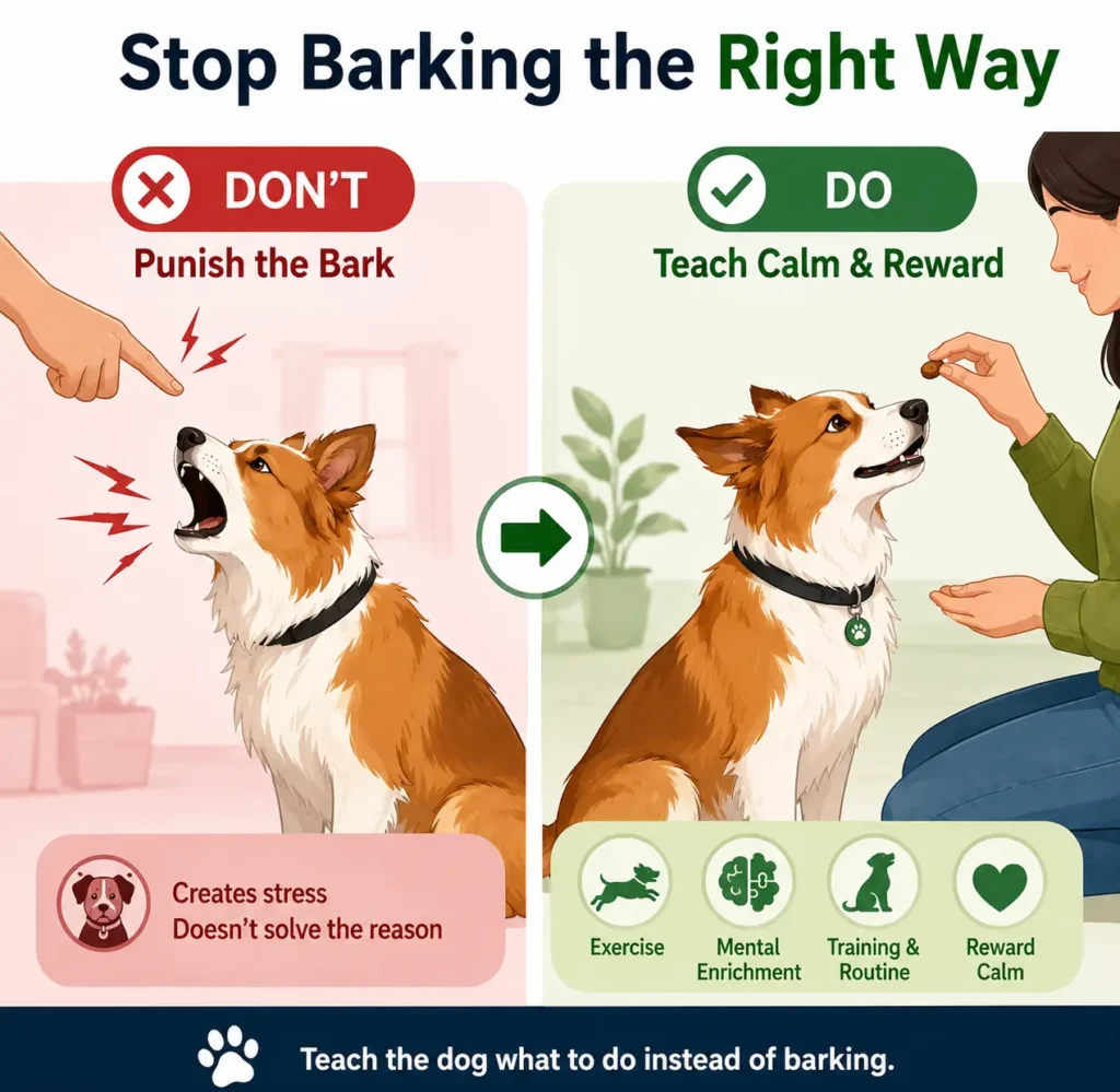 Infographic showing what to do and what not to do to stop the dog barking