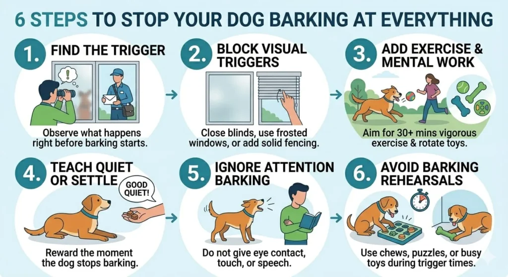 Infographic showing a 6-step :layout: finding triggers, blocking visual stimuli, increasing exercise, rewarding quit behavior, ignoring attention-seeking barking, and using puzzle toys to avoid barking rehearsals. 