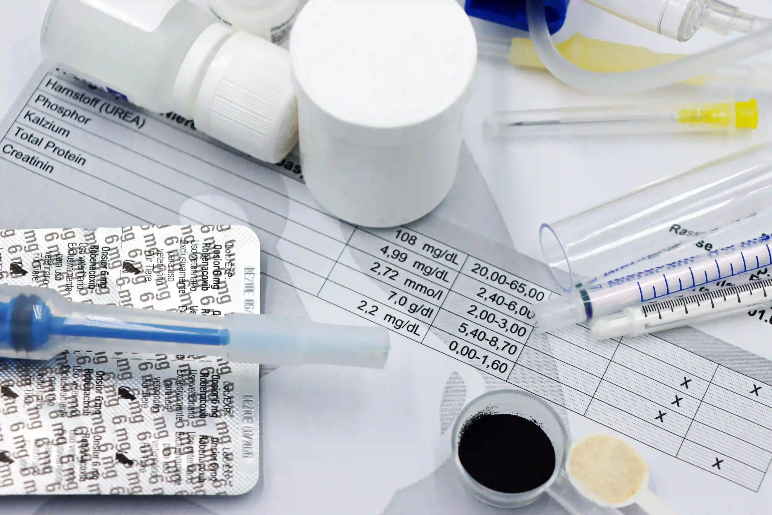 diluted urine in dogs blood test results kidney panel vet diagnostics